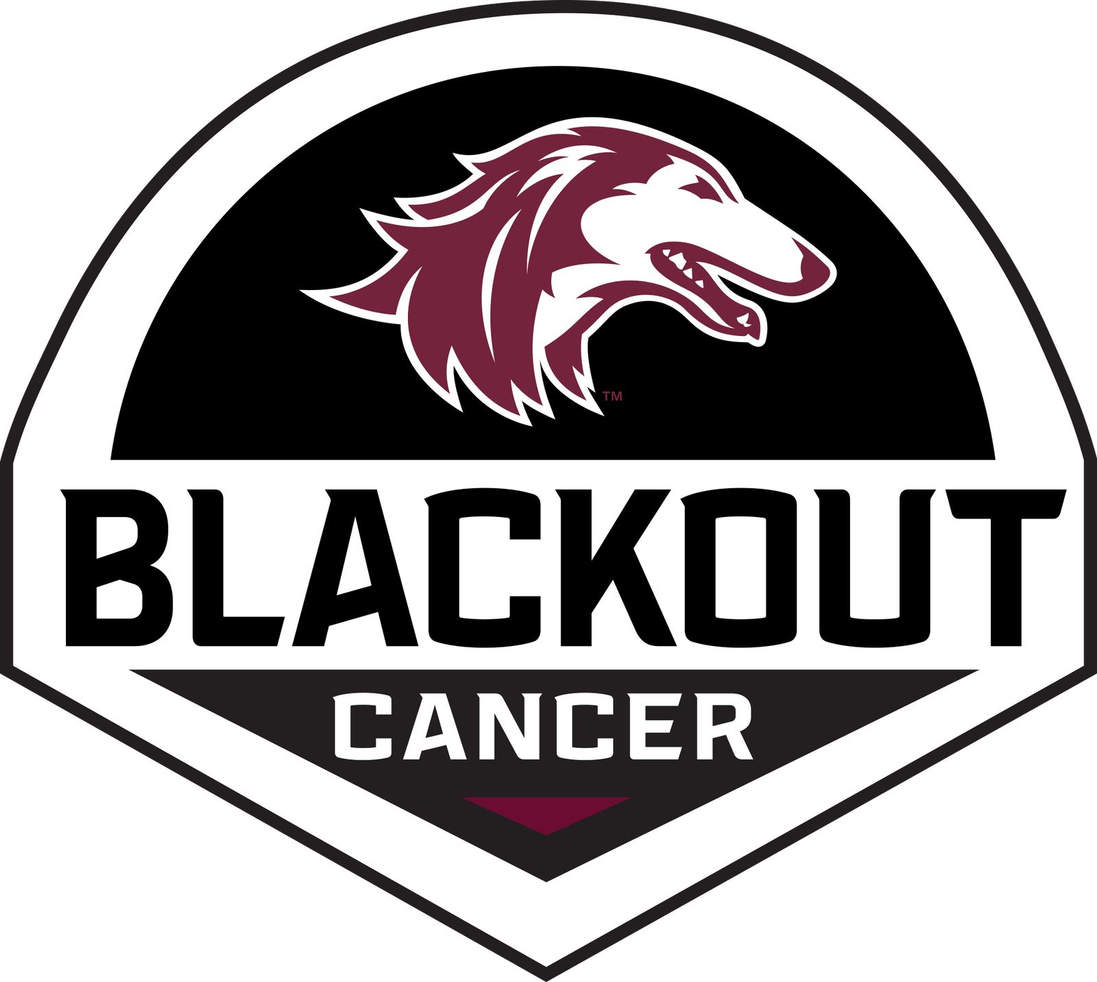 Salukis Blackout Cancer